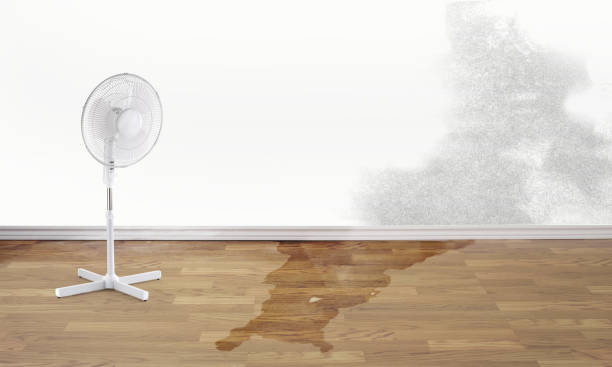  Amargosa Valley, NV Water damage restoration Pros